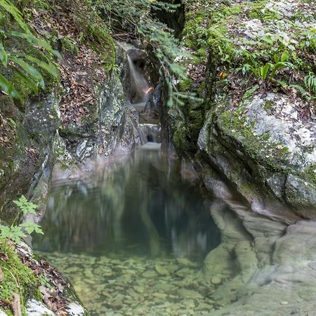 La Finestra Sul Lago Tignale Εξωτερικό φωτογραφία