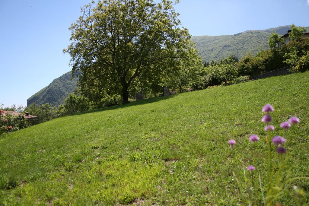 La Finestra Sul Lago Tignale Εξωτερικό φωτογραφία
